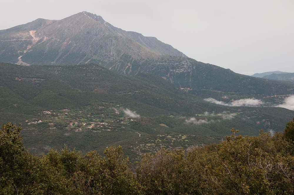 Geniki 1